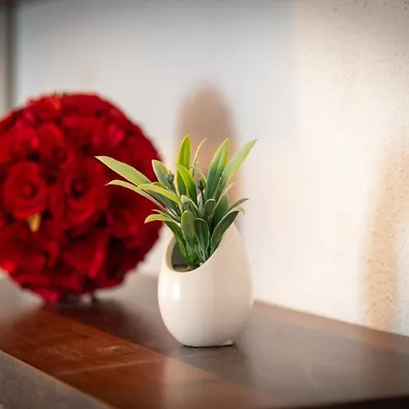 Lejlighed Vecchia Donna