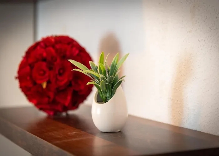 Appartement Vecchia Donna